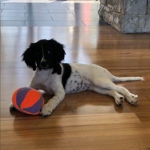 Meet your Posher, Louise